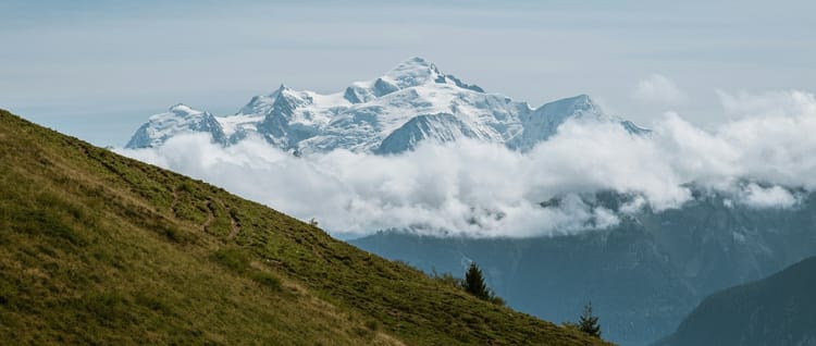 Entre Deux Courses - L'Hebdo du 25 janvier 2026