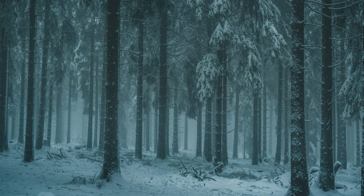 Entre Deux Courses - L'Hebdo du 22 fevrier 2026