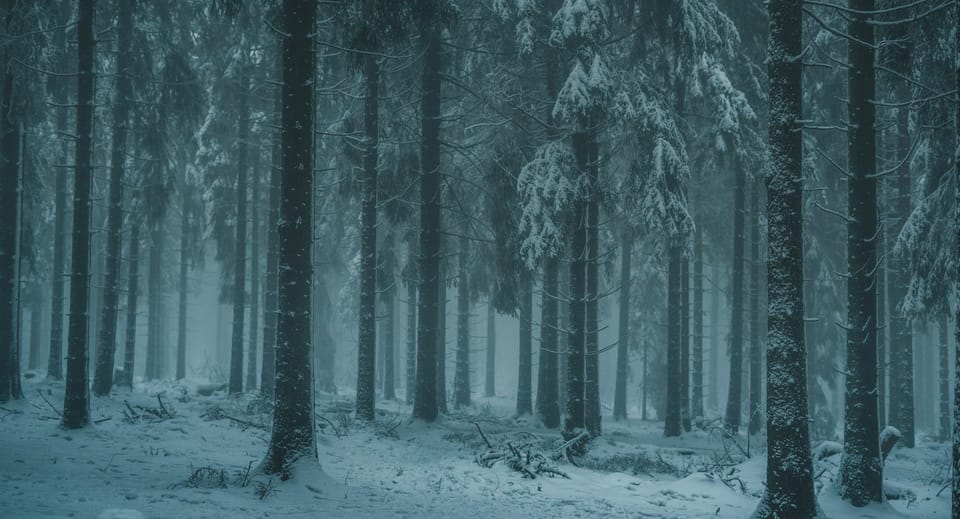 Entre Deux Courses - L'Hebdo du 22 fevrier 2026