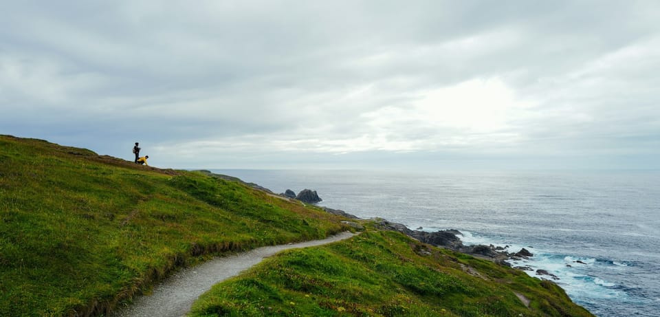 Entre Deux Courses - L'Hebdo du 15 février 2026